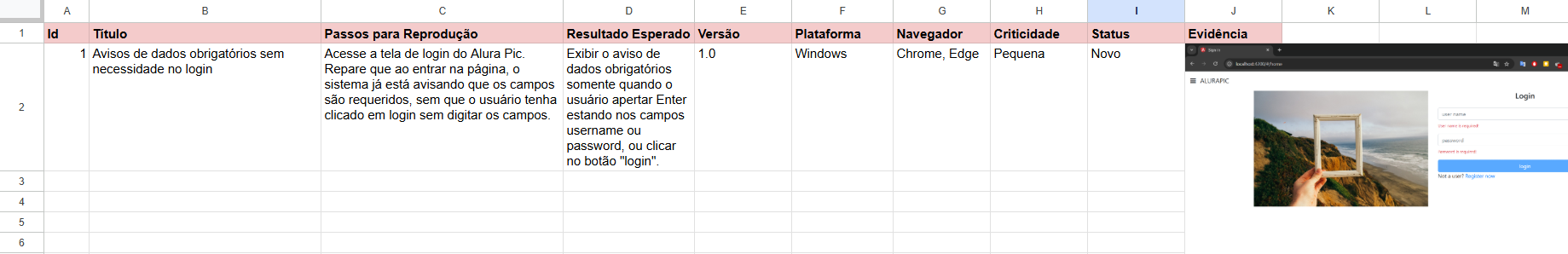 Print da planilha de Reporte de Bug