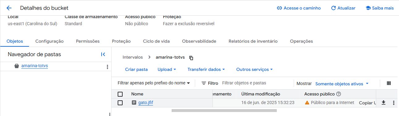 Insira aqui a descrição dessa imagem para ajudar na acessibilidade