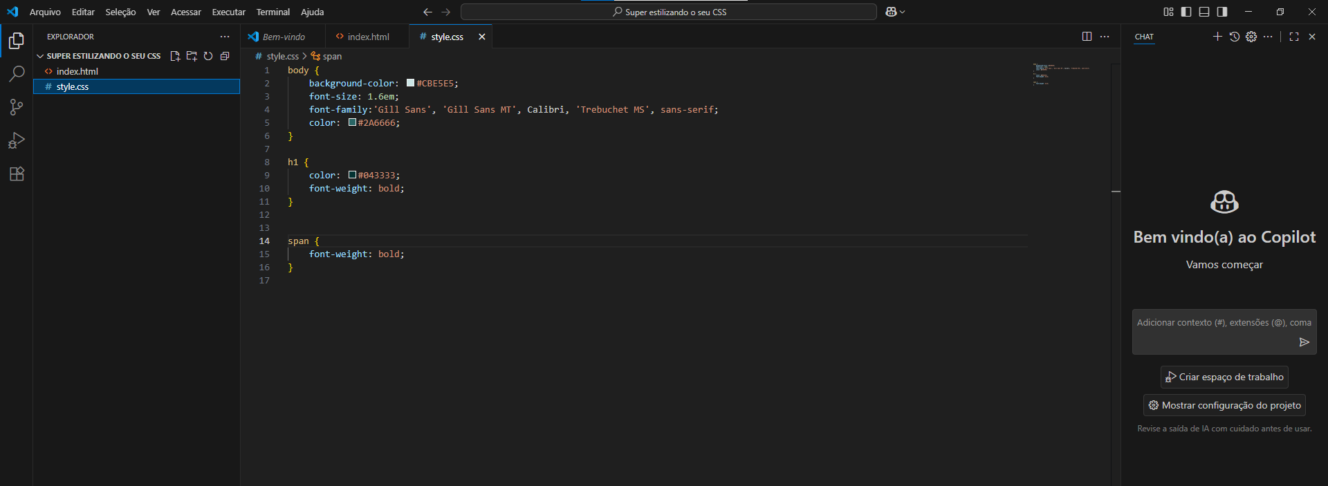 Uma imagem do documento CSS do meu projeto