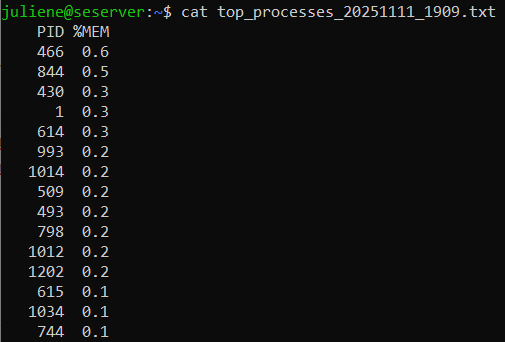 Insira aqui a descrição dessa imagem para ajudar na acessibilidade
