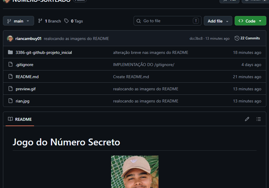 MEU README DO PROJETO JOGO DO NUMERO SECRETO