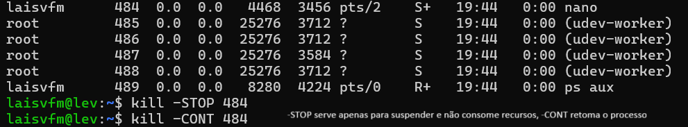 Insira aqui a descrição dessa imagem para ajudar na acessibilidade