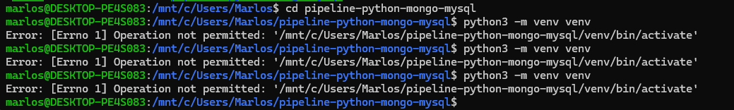 Falha após executar o comando 'python3 -m venv venv'