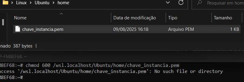 Insira aqui a descrição dessa imagem para ajudar na acessibilidade