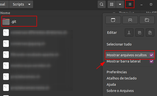 Diretório Scripts com destaque na barra de opções superior, em seguida na opção "Mostrar arquivos ocultos" selecionado e na pasta .git