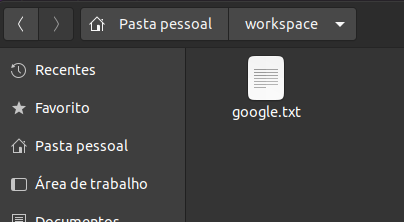 Diretório workspace com o documento google.txt.