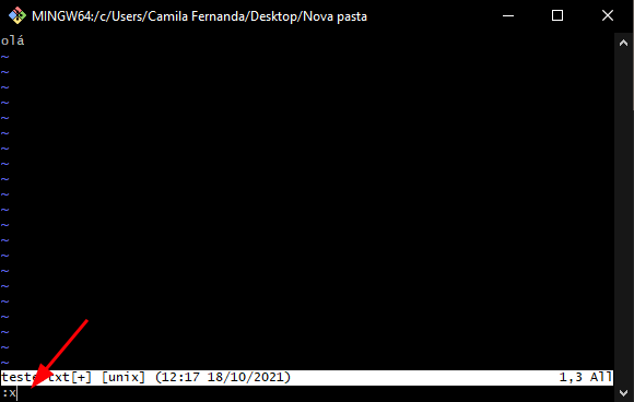Git Bash em VI de um arquivo teste.txt escrito ola, com destaque na barra inferior onde está escrito  :x
