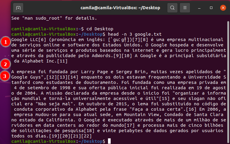 Comando head -n 3 google.txt no terminal linux, tendo como resultado os dois primeiros parágrafos do arquivo + espaço (3 linhas)