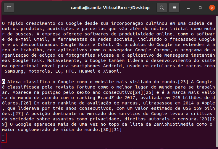 Arquivo google.txt aberto em vi no terminal Linux com destaque nos símbolos de ~ no final do documento.