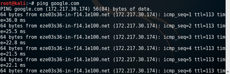Terminal com uma lista gerada com o comando  ping google.com listando endereços IP
