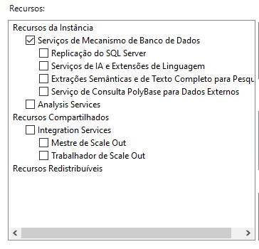 Imagem que mostra as opções.