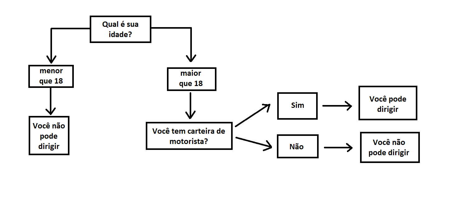 Fluxograma onde inicia com a pergunta Qual a sua idade. Temos dois caminhos. Um leva para maior de dezoito e outro para menor de dezoito. O menor que dezoito leva para Você não pode dirigir. Já o maior de dezoito leva para a pergunta “Você tem carteira de motorista?”.  Essa pergunta pode ter a resposta sim ou não. O sim leva para Você pode dirigir. O não leva para Você não pode dirigir.