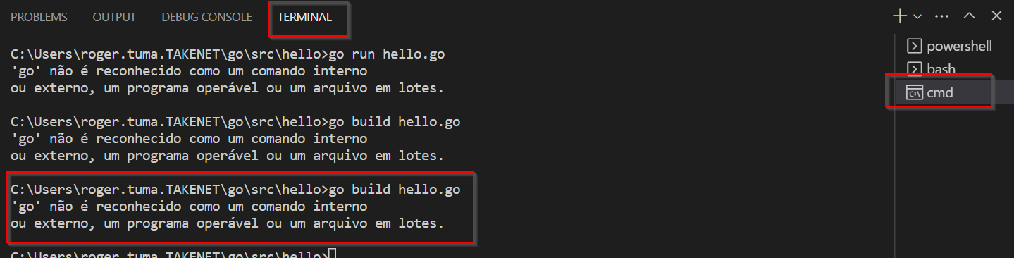 Erro terminal Vs Code - Assuntos Gerais - GUJ