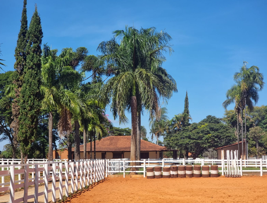 haras no Tororó