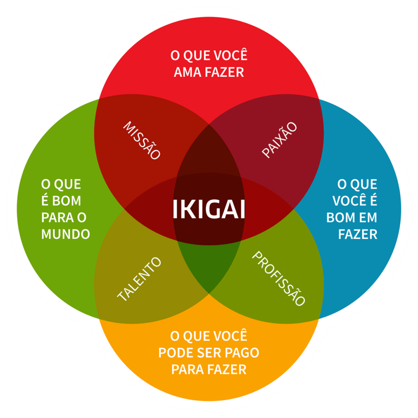 Imagem de um IKIGAI