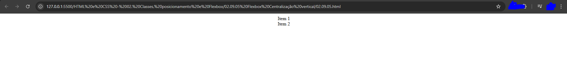 visualização usando o css alterado por mim