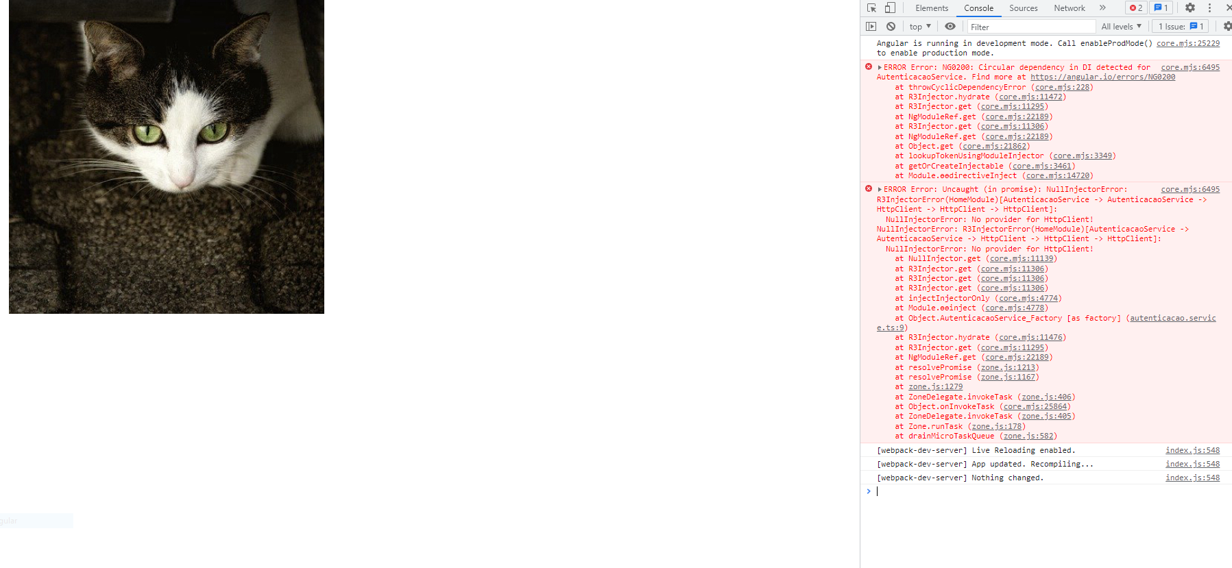 Console do Chrome Error NG0200 e Error: Uncaught (in promisse)