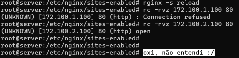 Comando nc -nvz para outro IP