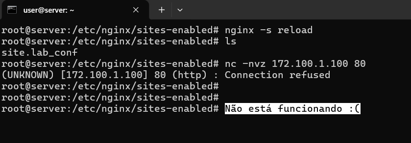 Print do CMD ao inserir os comandos da aula