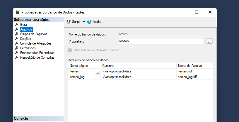 recorte da janela de propriedades do banco de dados, com a página arquivos selecionada