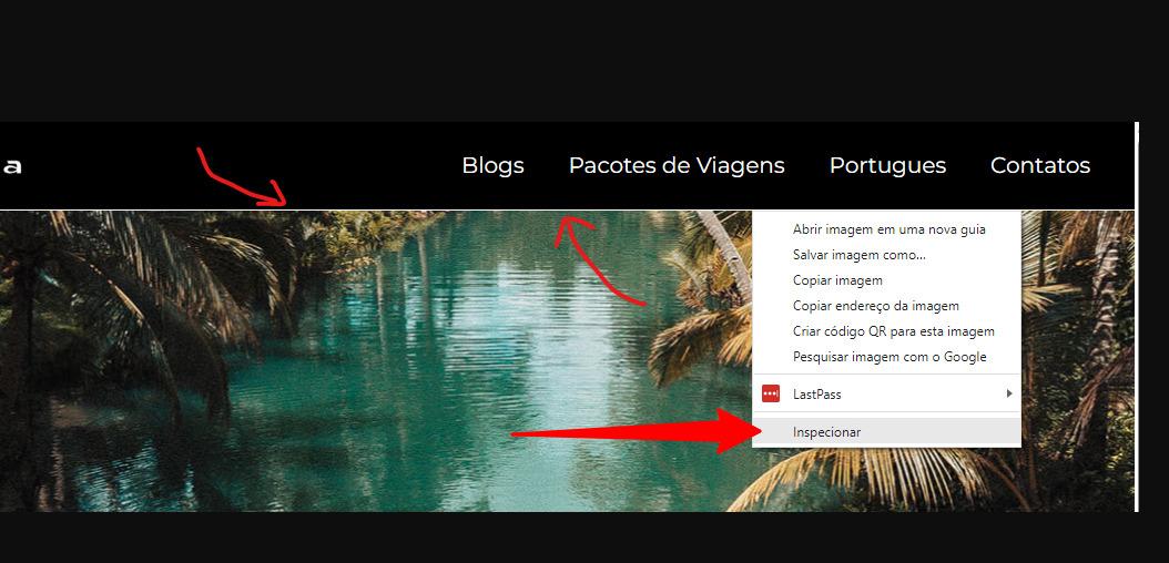 função inspecionar do navegador