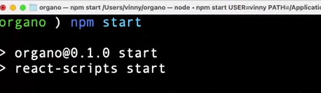 terminal com o comando npm start