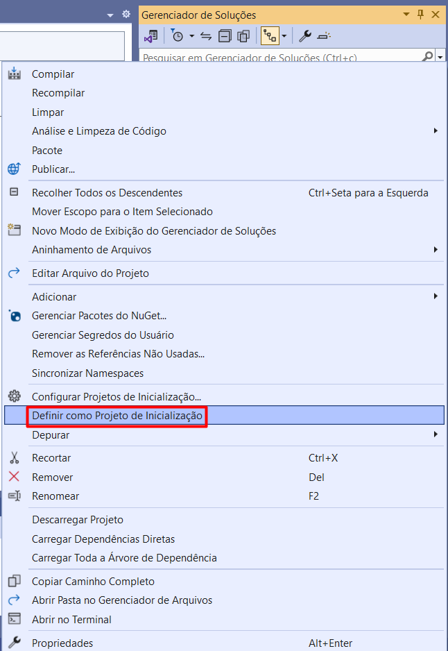 Definir como Projeto de Inicialização