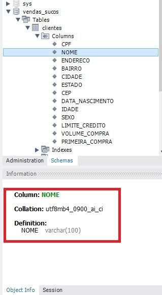 Informações da Coluna Nome da Tabela Clientes