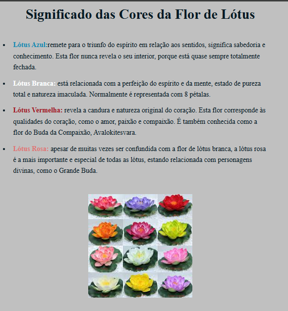 Insira aqui a descrição dessa imagem para ajudar na acessibilidade