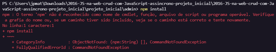 Erro npm