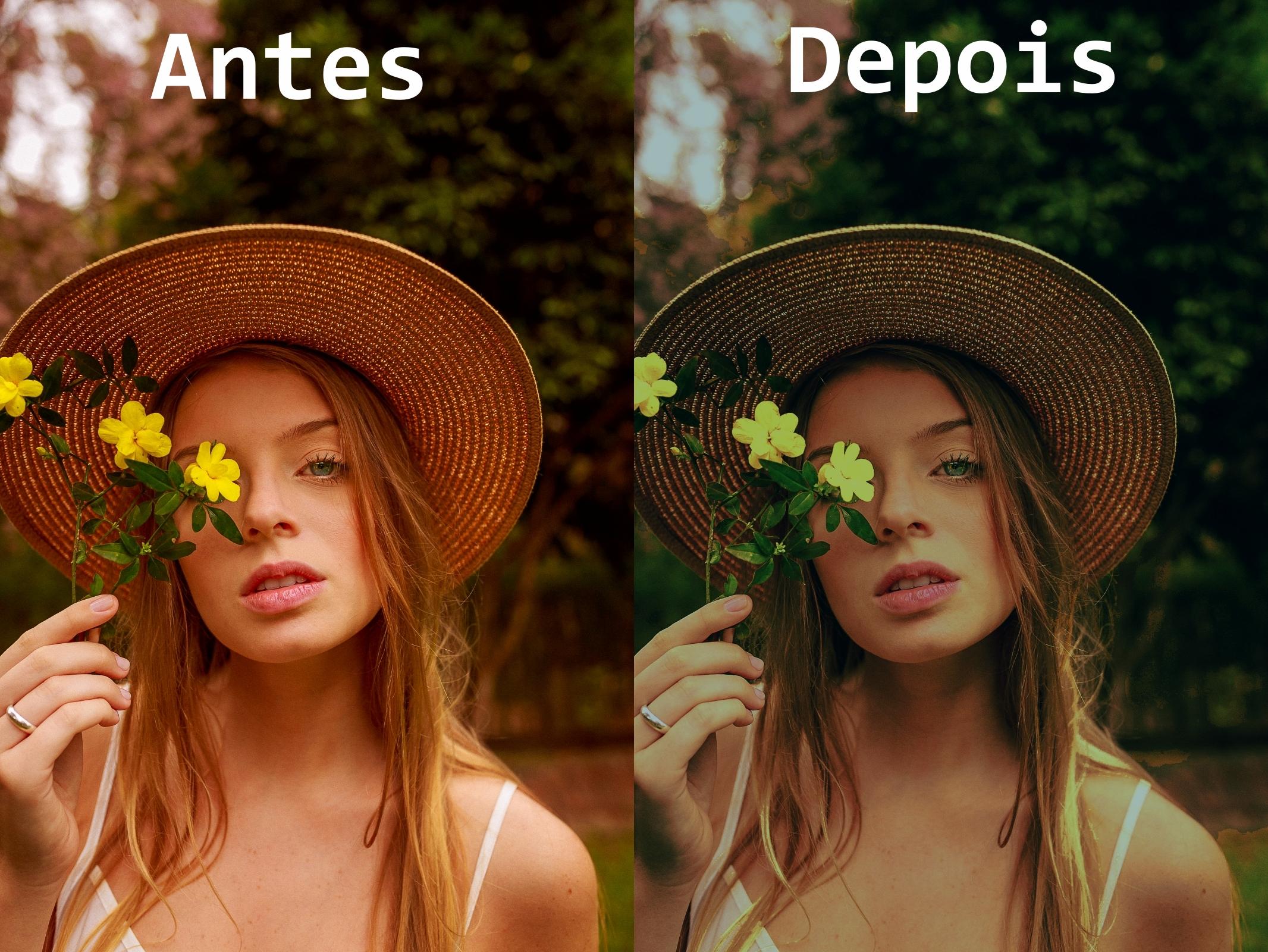 Insira aqui a descrição dessa imagem para ajudar na acessibilidade