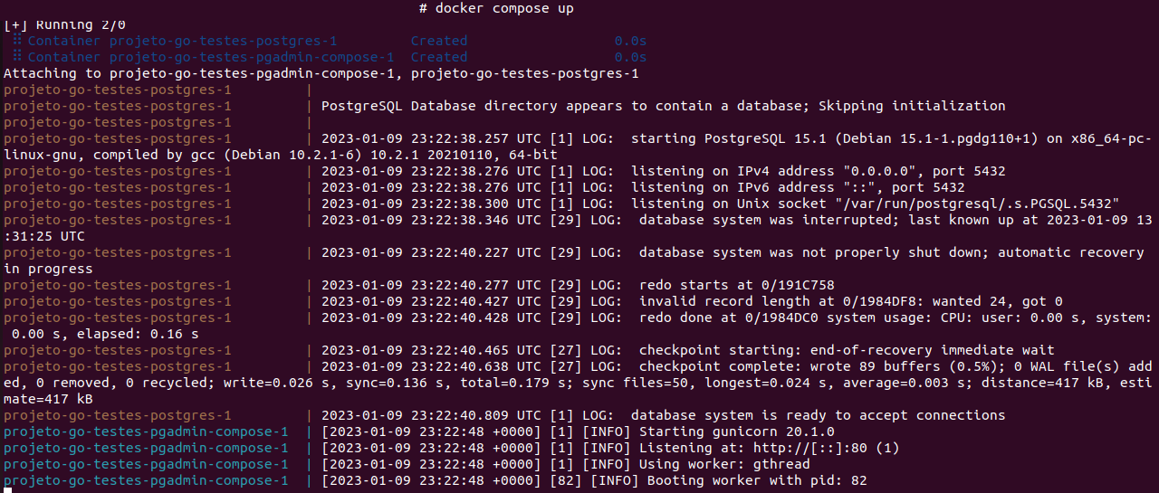 Execução do comando "docker compose up -d"