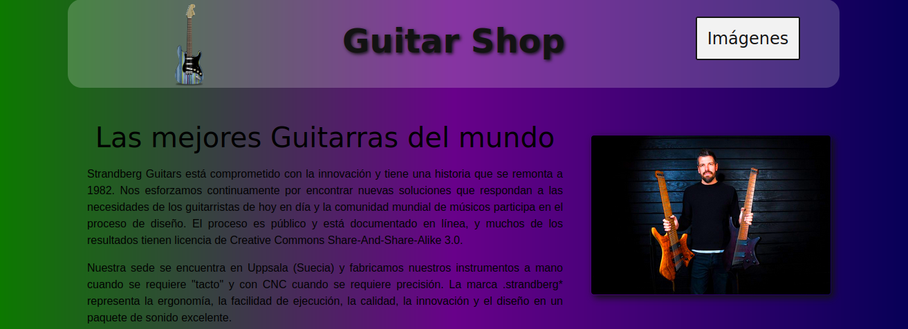 Guitar Shop