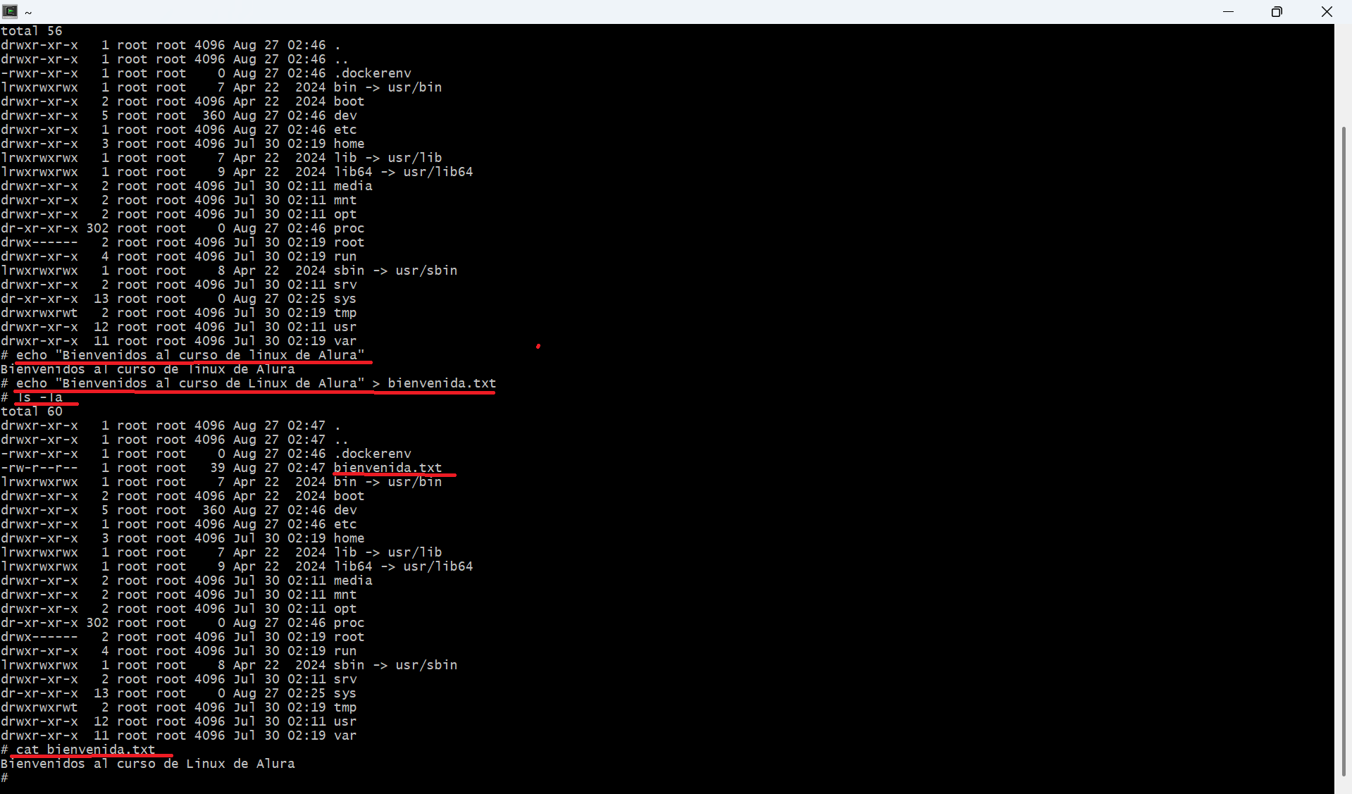Terminal de GNU-Linux/Ubunty en Docker corriendo en W11 con Terminal de Cywing