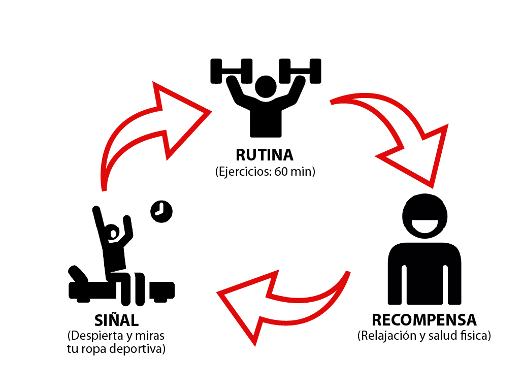 Ingrese aquí la descripción de esta imagen para ayudar con la accesibilidad