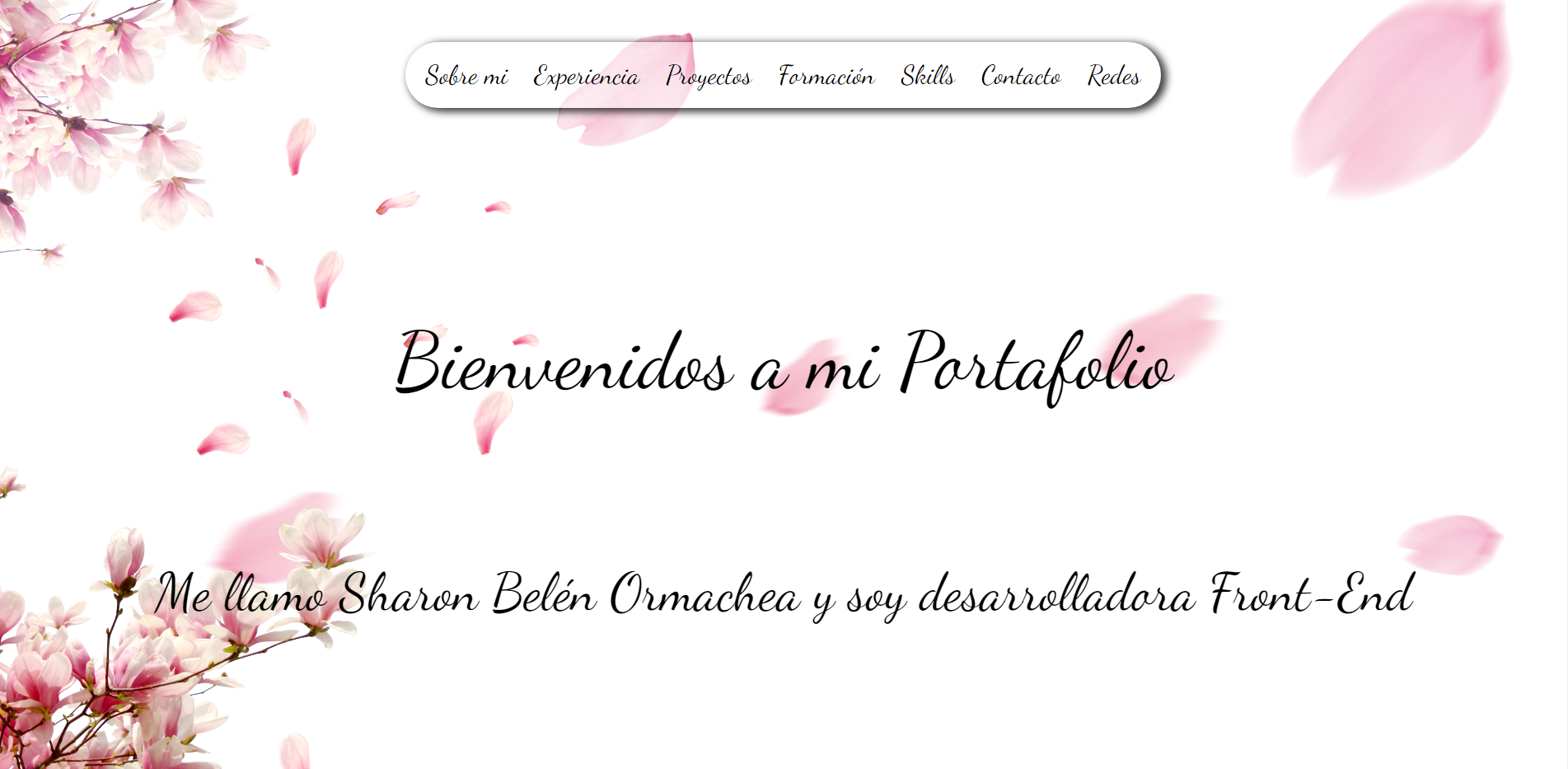 Portfolio Web