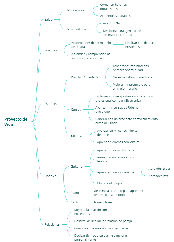 Mapa Mental Proyecto de Vida