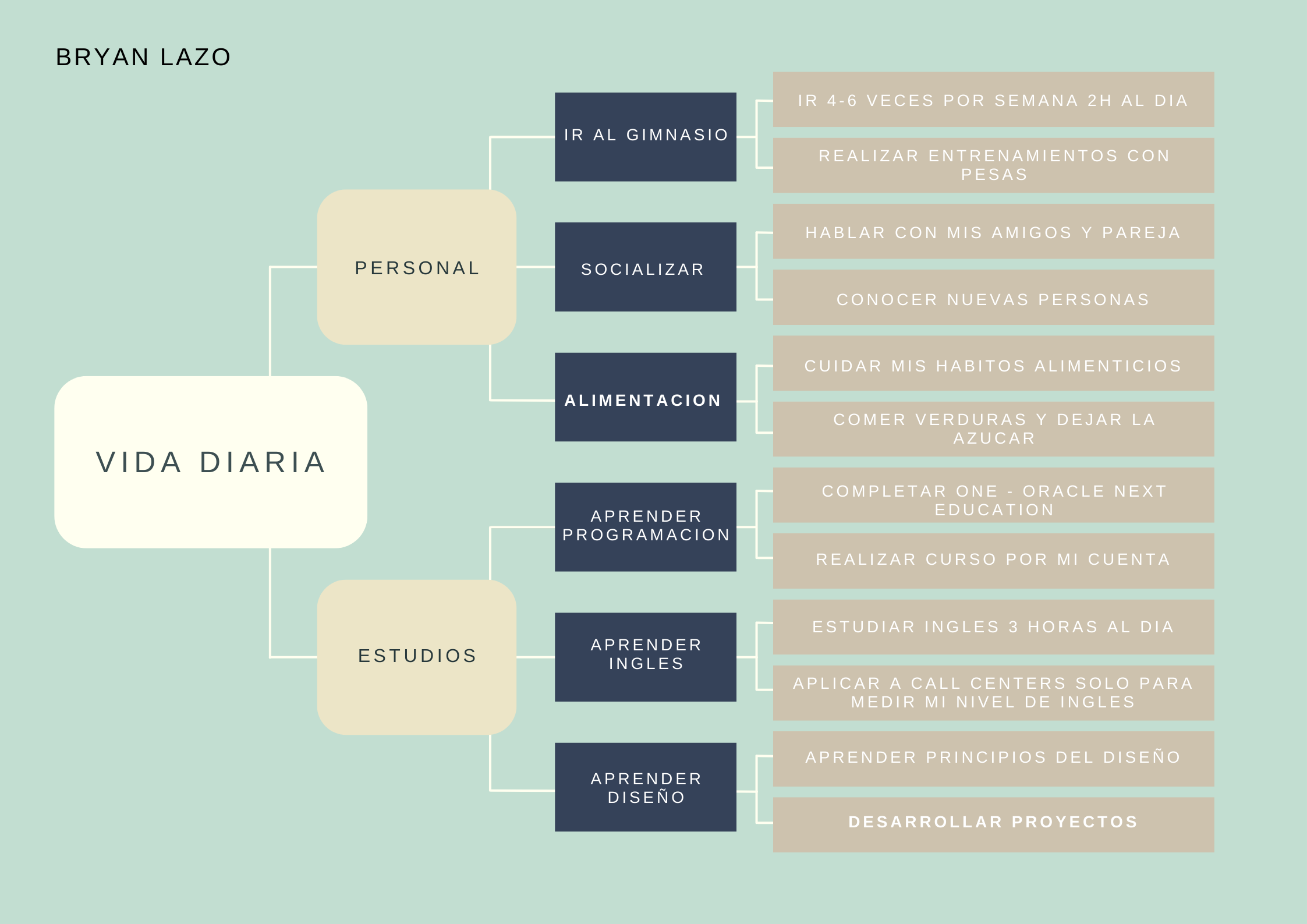 Mapa conceptual de Bryan Lazo