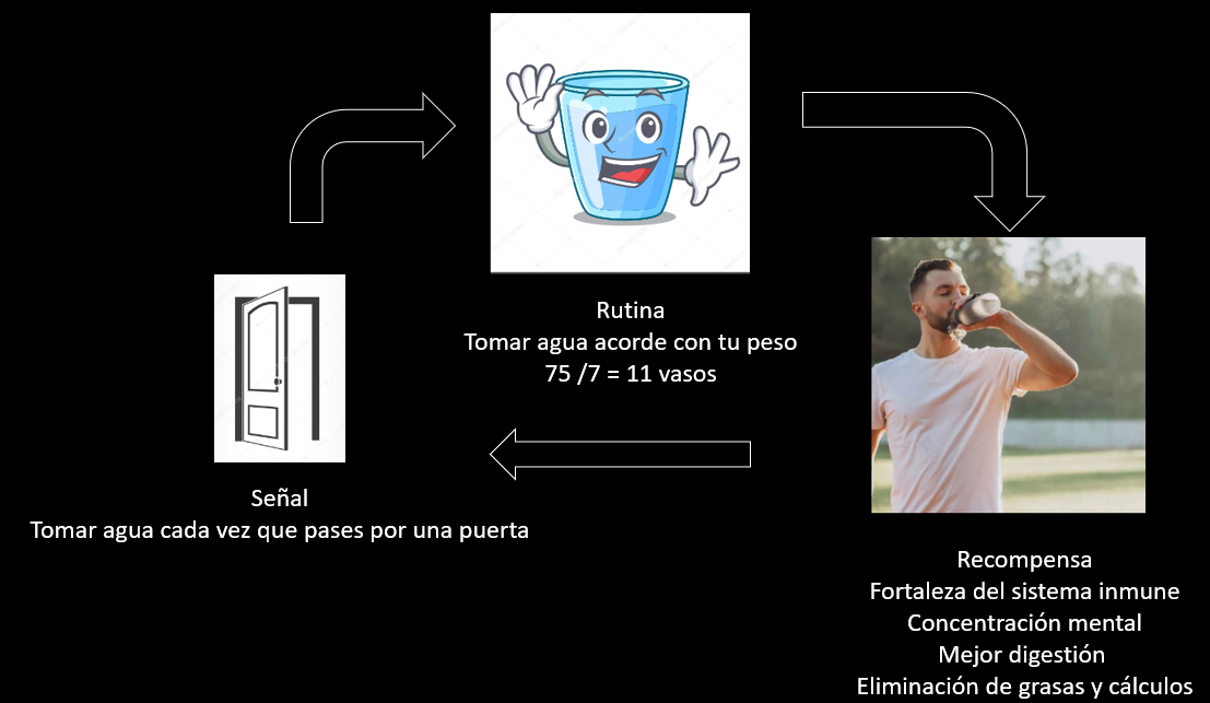 Ingrese aquí la descripción de esta imagen para ayudar con la accesibilidad