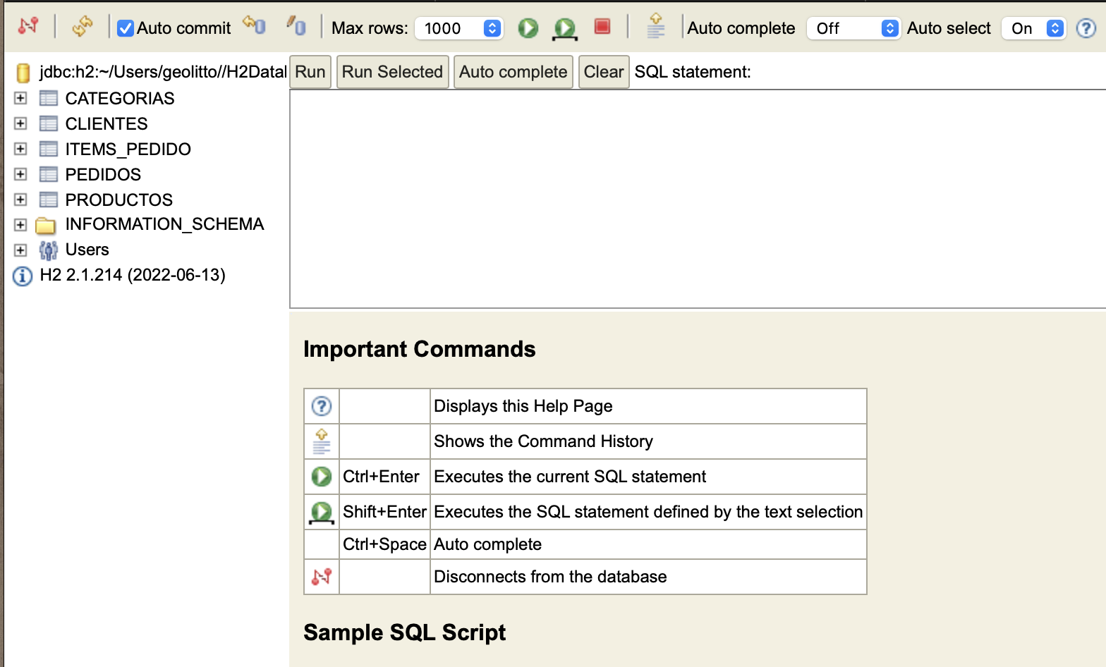 h2 database access