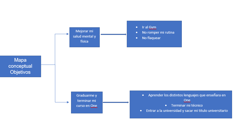 EN ESTE MAPA CONCEPTUAL LES MOSTRARE MIS OBJETIVOS PRINCIPALES DE MOMENTO 