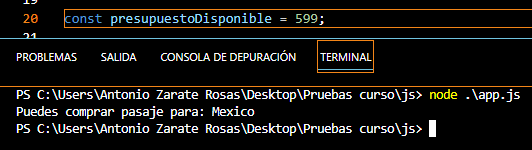 Resultado del programa al ejecutarlo con $599