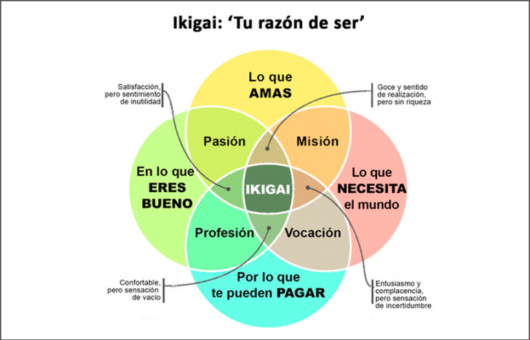 Imagen de internet de Ikigai