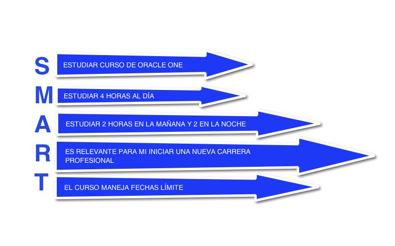 DESCRIPCIÓN DE MI META SMART