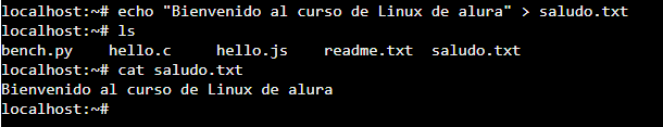 Imagen de codigo en linux