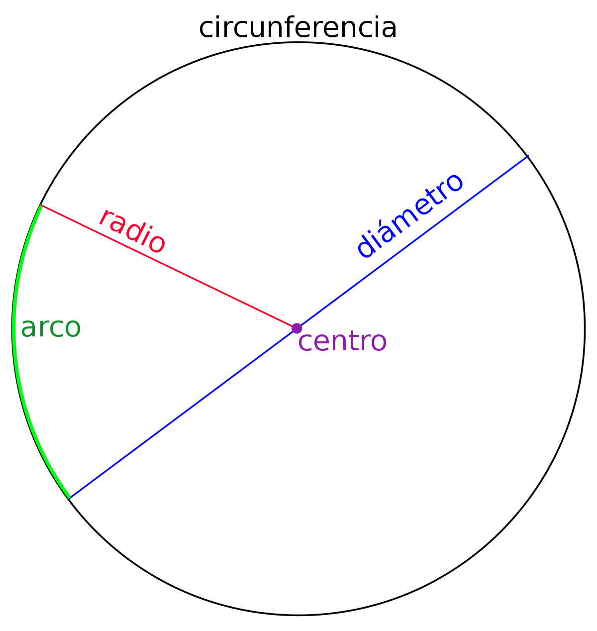 partes de un circulo