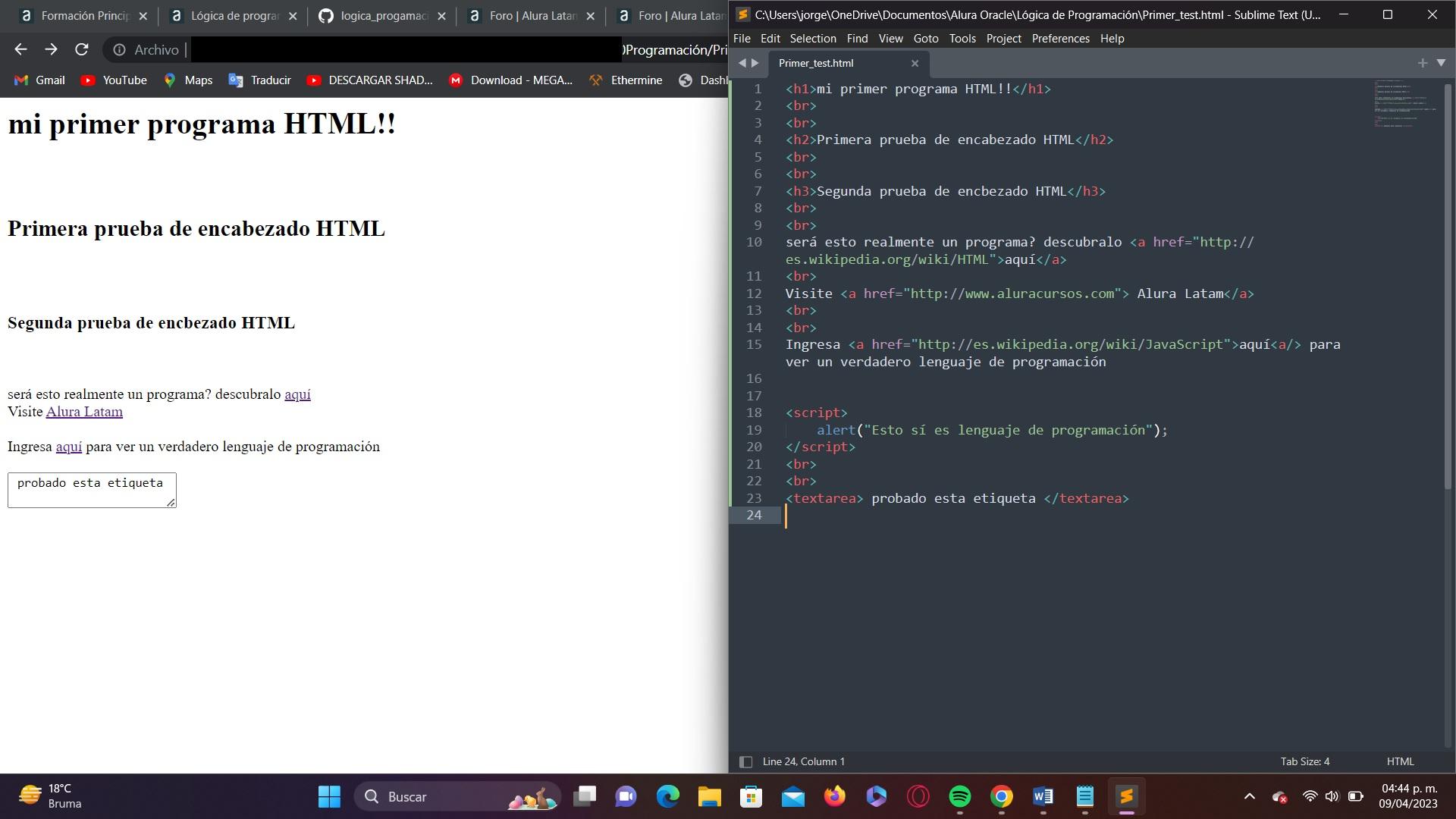 Primera actividad del curso, jugando con la etiqueta de encabezado y probando la etiqueta de texarea