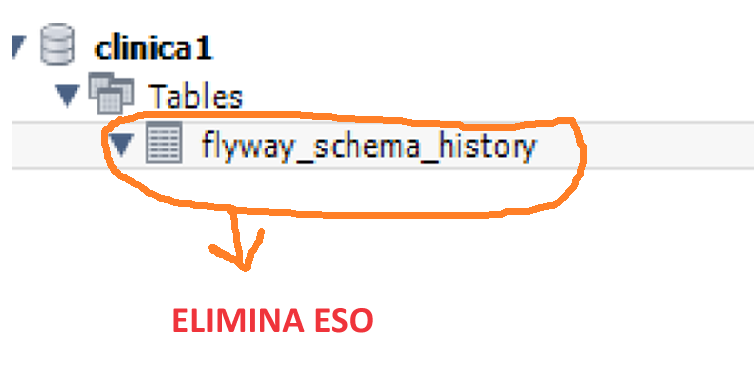 MYSQL BASE DE DATOS ELIMINA EL FLYWAY HISTORY