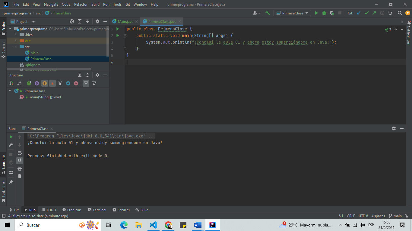 Pantalla de Intellij IDEA, mostrandor resultado