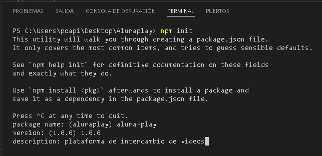 Ejecución correcta del npm en el terminal